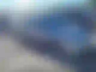 Vehicle Image- 2007 Honda Civic