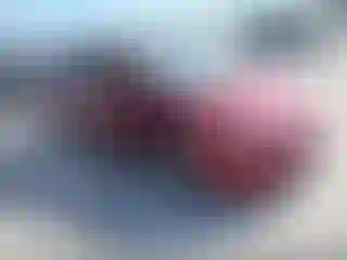 Vehicle Image- 2008 Honda Civic