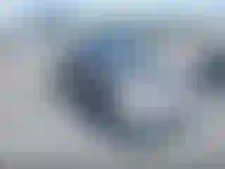 Vehicle Image- 2006 Honda Civic