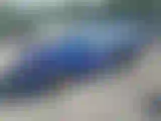 Vehicle Image- 2006 Honda Civic