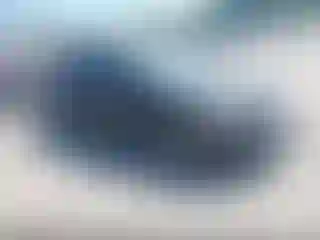 Vehicle Image- 2006 Honda Civic