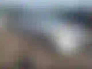 Vehicle Image- 2007 Honda Civic