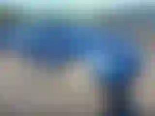 Vehicle Image- 2008 Honda Civic