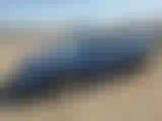 Vehicle Image- 2006 Honda Civic