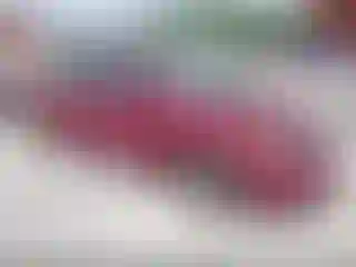 Vehicle Image- 2006 Honda Civic