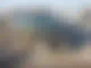 Vehicle Image- 2006 Honda Civic