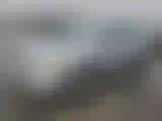 Vehicle Image- 2006 Honda Civic