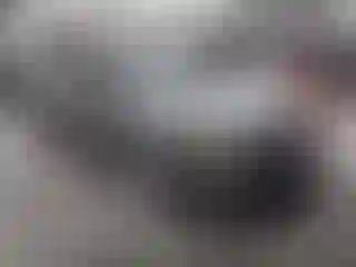 Vehicle Image- 2008 Honda Civic