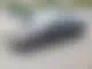 Vehicle Image- 2008 Honda Civic