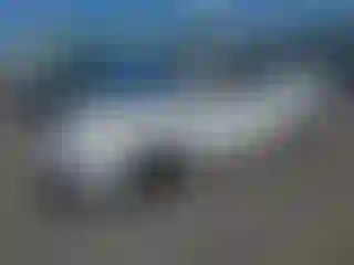 Vehicle Image- 2008 Honda Civic