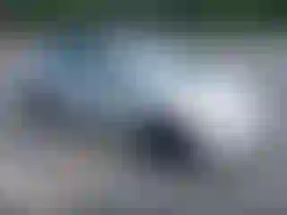 Vehicle Image- 2007 Honda Civic