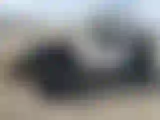 Vehicle Image- 2011 Jeep Wrangler