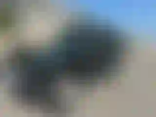Vehicle Image- 2010 Jeep Wrangler