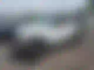 Vehicle Image- 2010 Jeep Wrangler