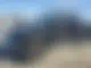 Vehicle Image- 2011 Jeep Wrangler