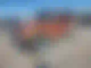 Vehicle Image- 2010 Jeep Wrangler