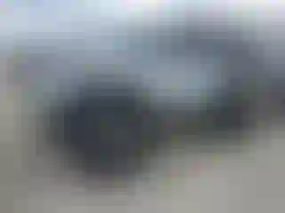Vehicle Image- 2008 Jeep Wrangler