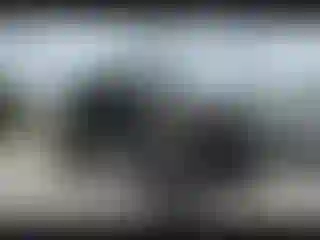 Vehicle Image- 2008 Jeep Wrangler
