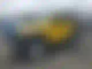 Vehicle Image- 2009 Jeep Wrangler