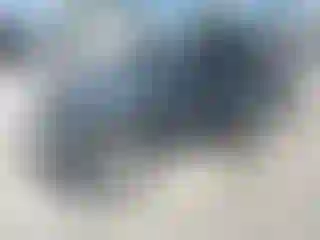 Vehicle Image- 2008 Jeep Wrangler
