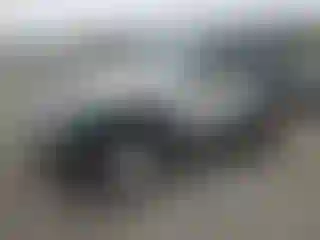 Vehicle Image- 2008 Jeep Wrangler