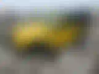 Vehicle Image- 2009 Jeep Wrangler