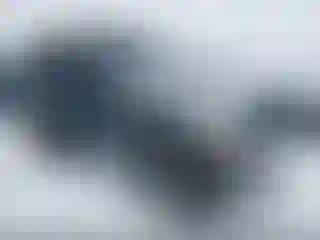 Vehicle Image- 2004 Jeep Wrangler