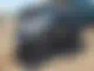 Vehicle Image- 2000 Jeep Wrangler