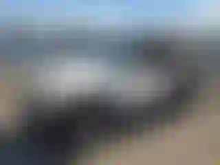 Vehicle Image- 2002 Jeep Wrangler