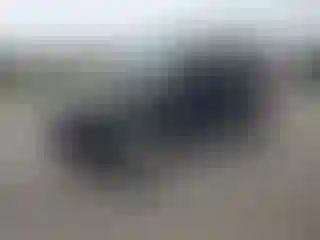 Vehicle Image- 2001 Jeep Wrangler