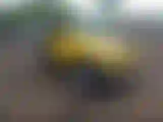 Vehicle Image- 2000 Jeep Wrangler