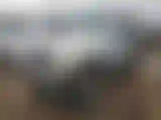 Vehicle Image- 2006 Jeep Wrangler