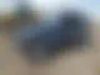 Vehicle Image- 2005 Jeep Wrangler