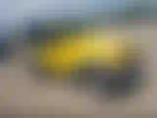 Vehicle Image- 2002 Jeep Wrangler