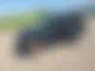 Vehicle Image- 2002 Jeep Wrangler