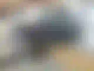 Vehicle Image- 2003 Jeep Wrangler