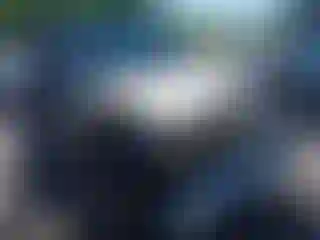 Vehicle Image- 2005 Jeep Wrangler