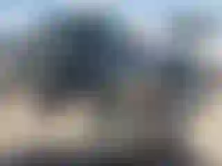 Vehicle Image- 2005 Jeep Wrangler