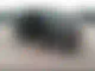 Vehicle Image- 2002 Jeep Wrangler