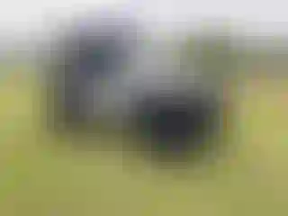 Vehicle Image- 2003 Jeep Wrangler