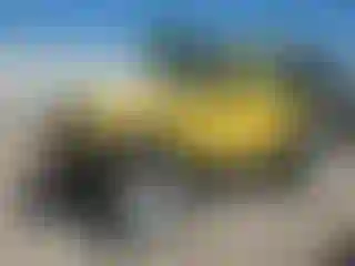 Vehicle Image- 2001 Jeep Wrangler