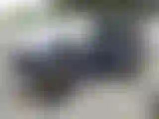 Vehicle Image- 2001 Jeep Wrangler