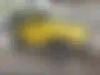 Vehicle Image- 2004 Jeep Wrangler