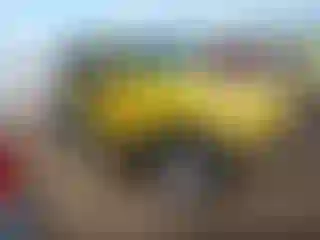 Vehicle Image- 2001 Jeep Wrangler