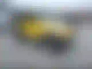 Vehicle Image- 2002 Jeep Wrangler