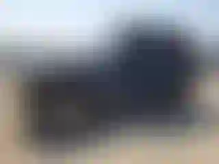 Vehicle Image- 2003 Jeep Wrangler