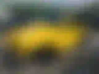 Vehicle Image- 2004 Jeep Wrangler