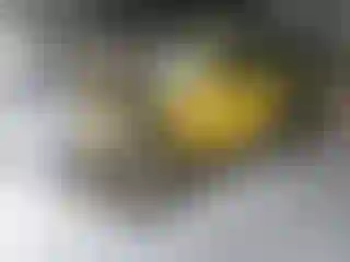 Vehicle Image- 2000 Jeep Wrangler