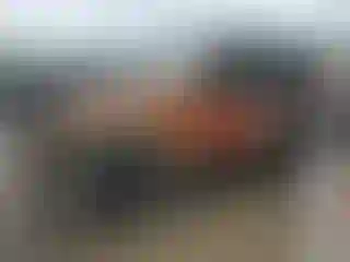 Vehicle Image- 2001 Jeep Wrangler