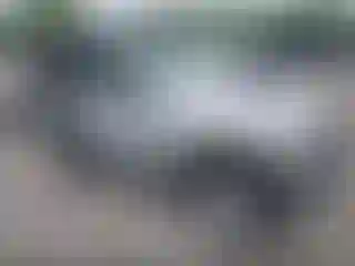 Vehicle Image- 2003 Jeep Wrangler